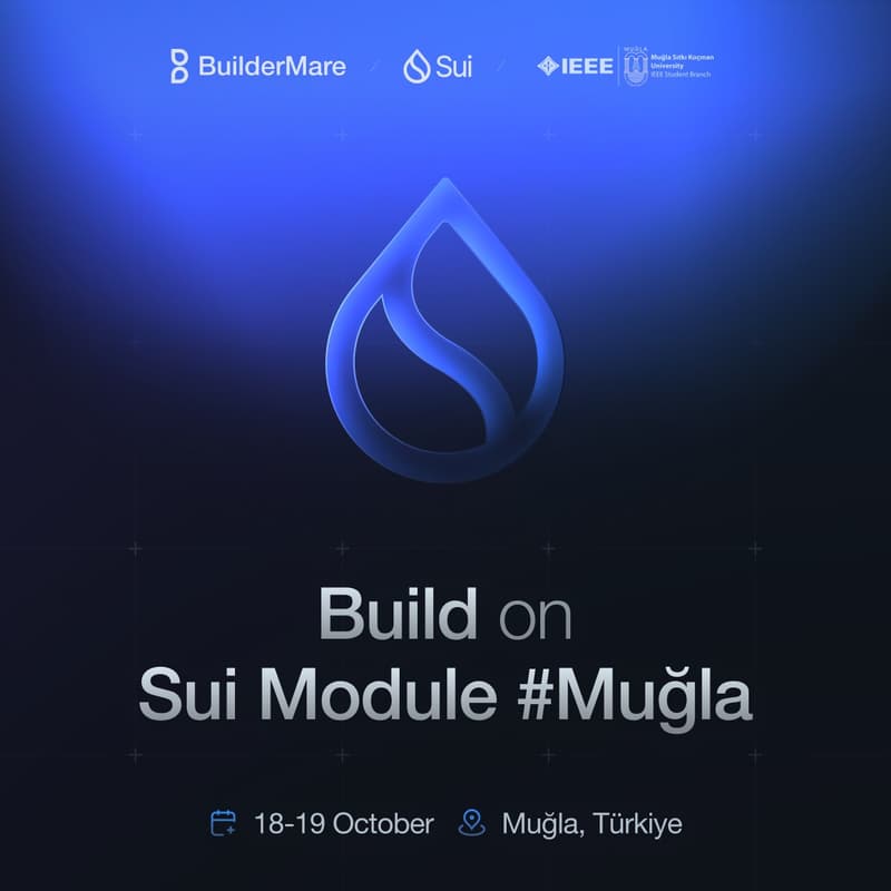 Cover Image for BuilderMare SUI Education Mugla Session #2