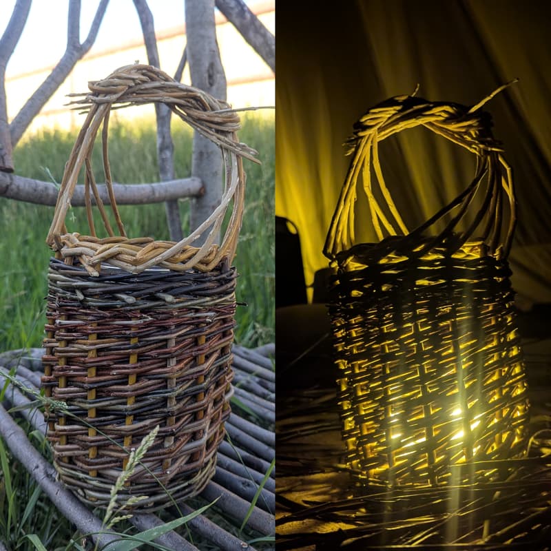 Cover Image for Wild Rose Lantern