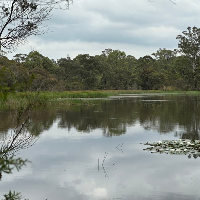 Cover Image for New Southern Star Stoics