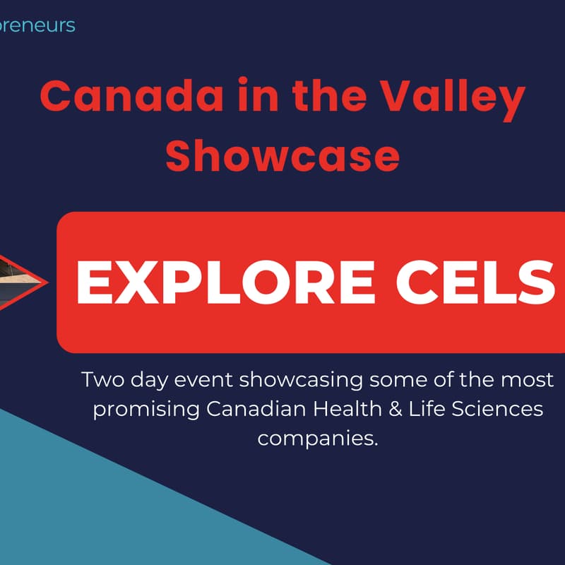 Cover Image for Explore CELS Info Session