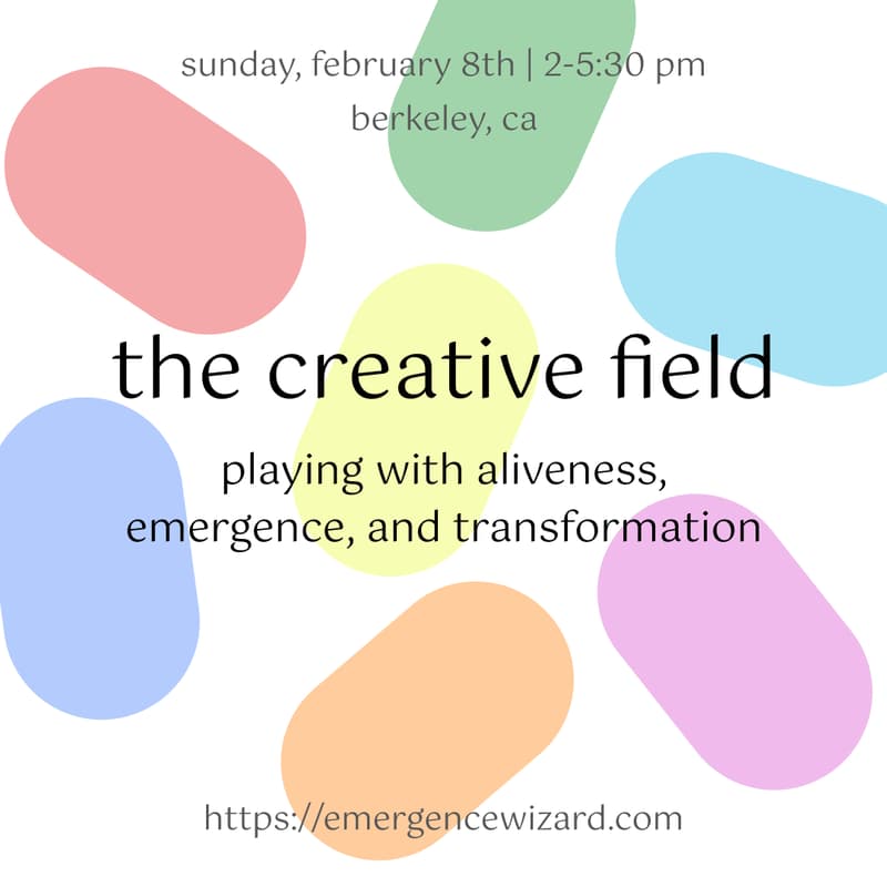 Cover Image for The Creative Field - playing with aliveness, emergence, and transformation