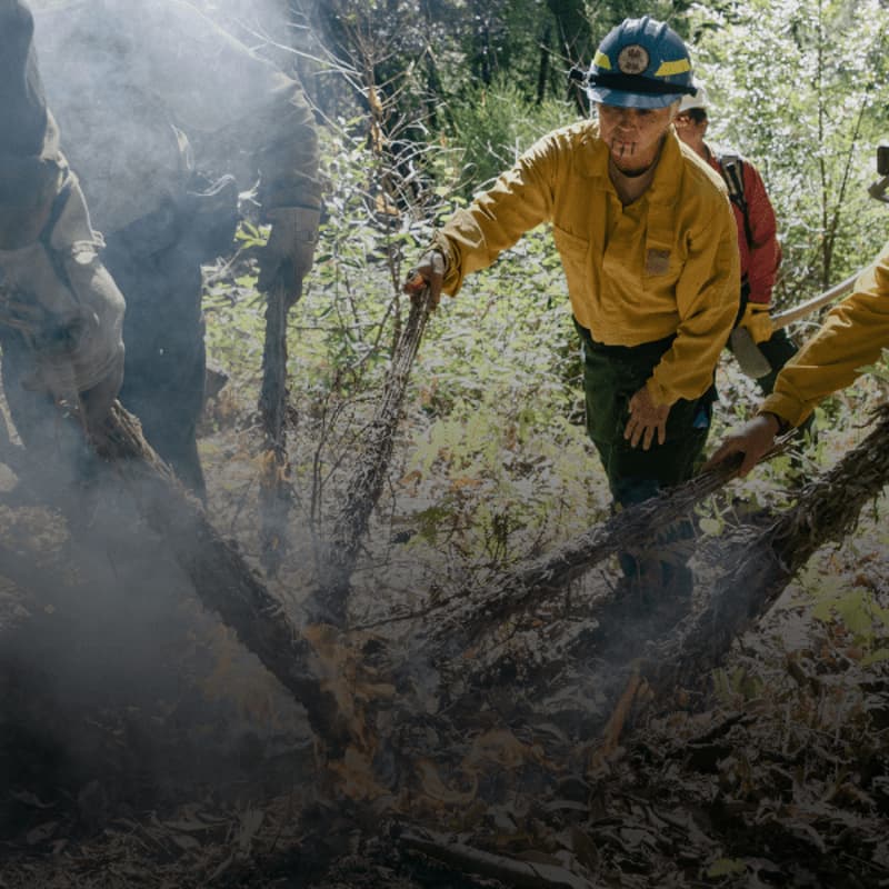 Cover Image for Group Outing to "Good Fire, Tending Native Lands" exhibition at OMCA