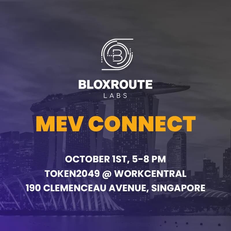 Cover Image for MEV Connect