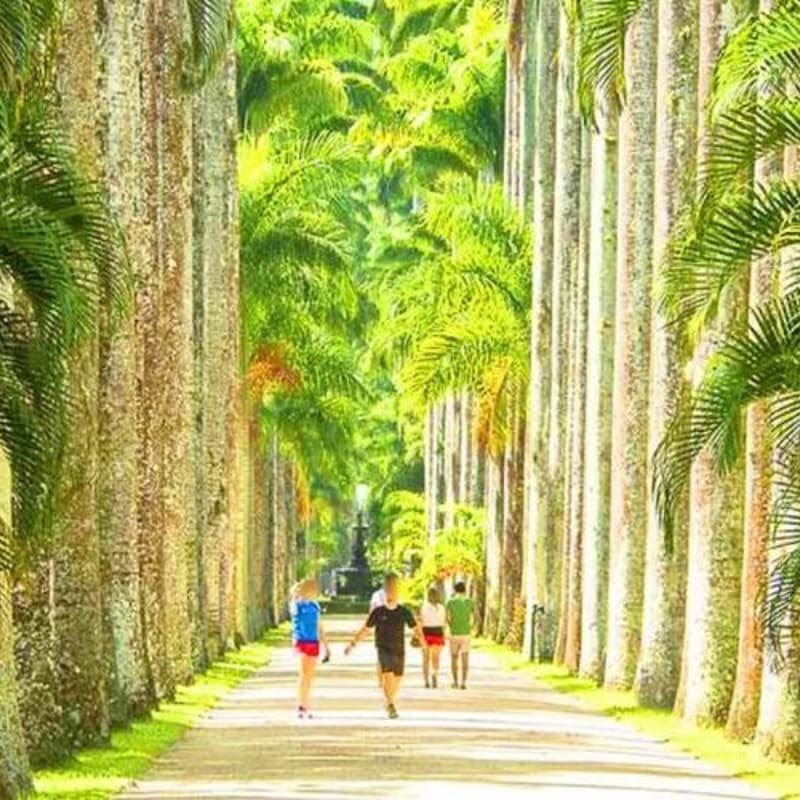 Cover Image for Tour pelo Jardim Botânico | e-Xyon