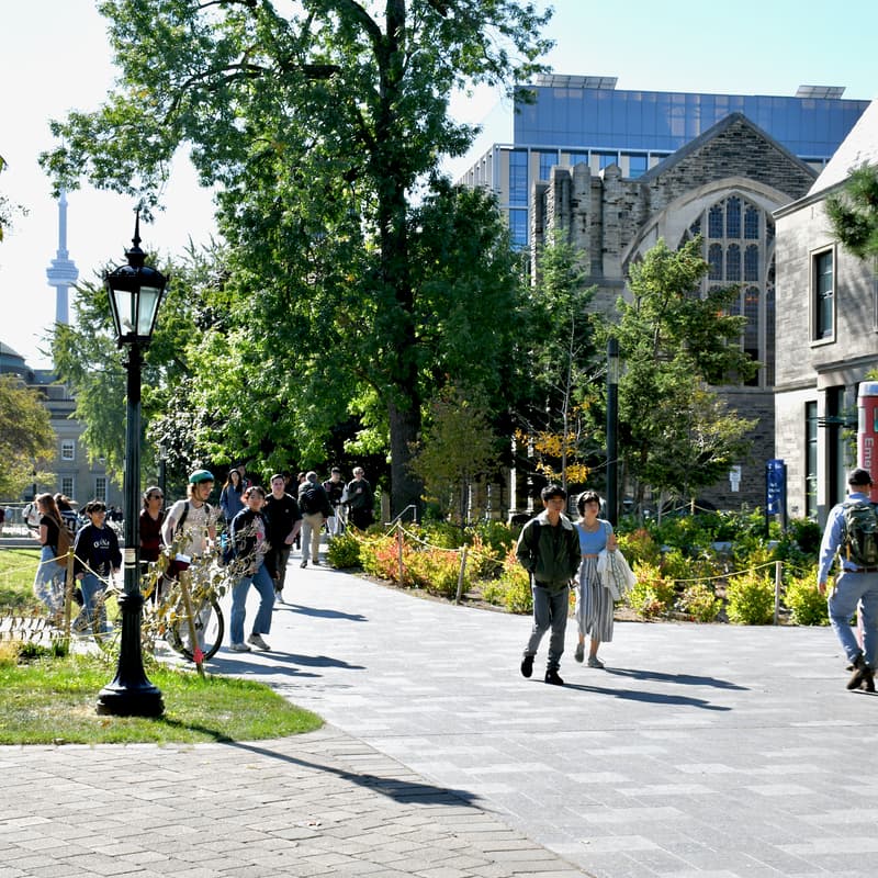Cover Image for Online Information Session: Wolf Scholars Program at the University of Toronto