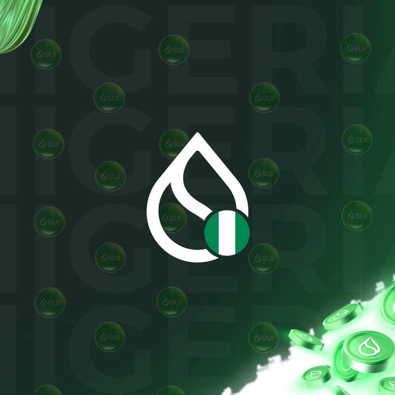 Cover Image for Exclusively For 30 People For SUI DEVELOPER