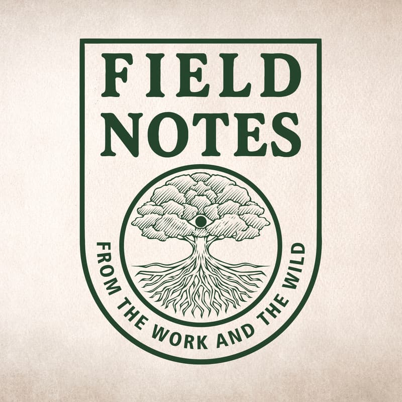 Cover Image for Field Notes: A One-Year Gathering
