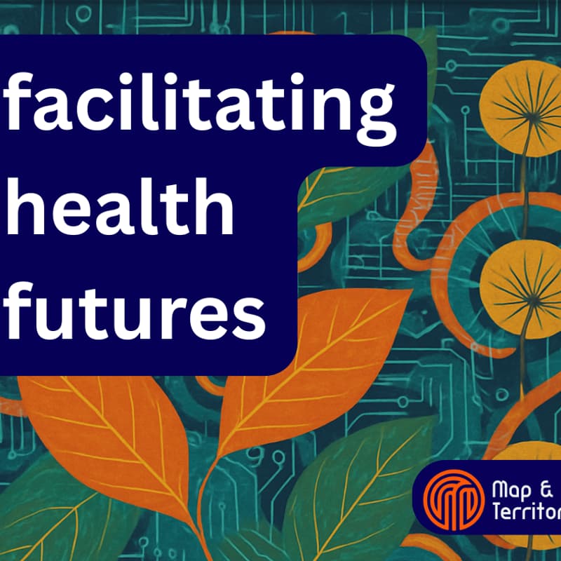 Cover Image for Facilitating Health Futures: Designing and Leading for Emergence