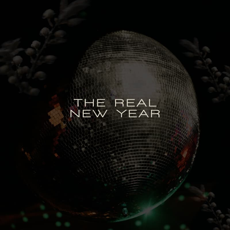 Cover Image for THE REAL NEW YEAR: Spring Equinox on Pluto