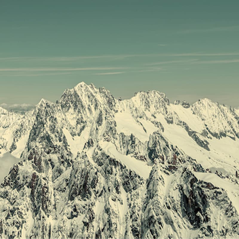 Cover Image for Common Grounds & Diverse Paths: Leading the Change