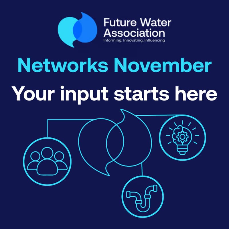 Cover Image for Networks November: Your input starts here