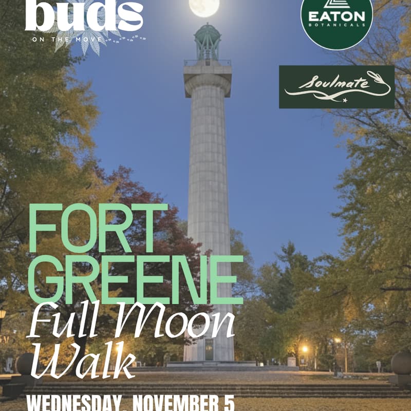 Cover Image for Fort Greene Full Moon Walk