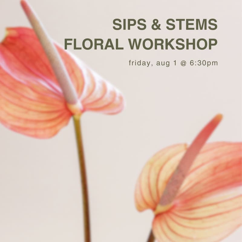 Cover Image for sips & stems floral arrangement workshop