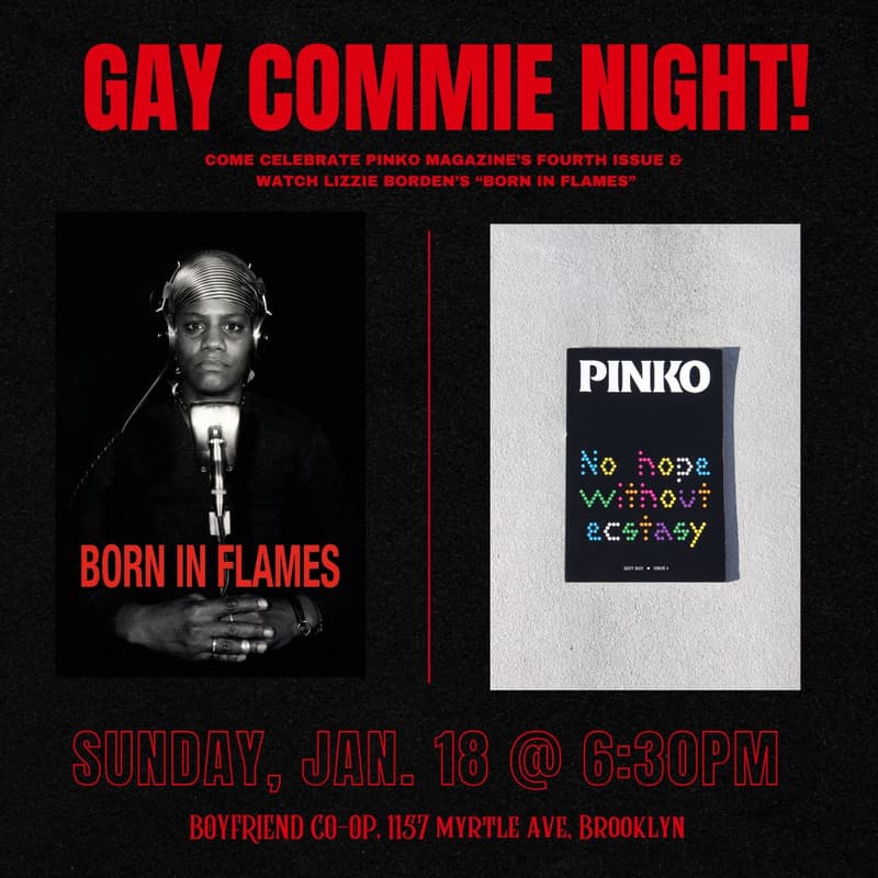 Cover Image for Gay Commie Night