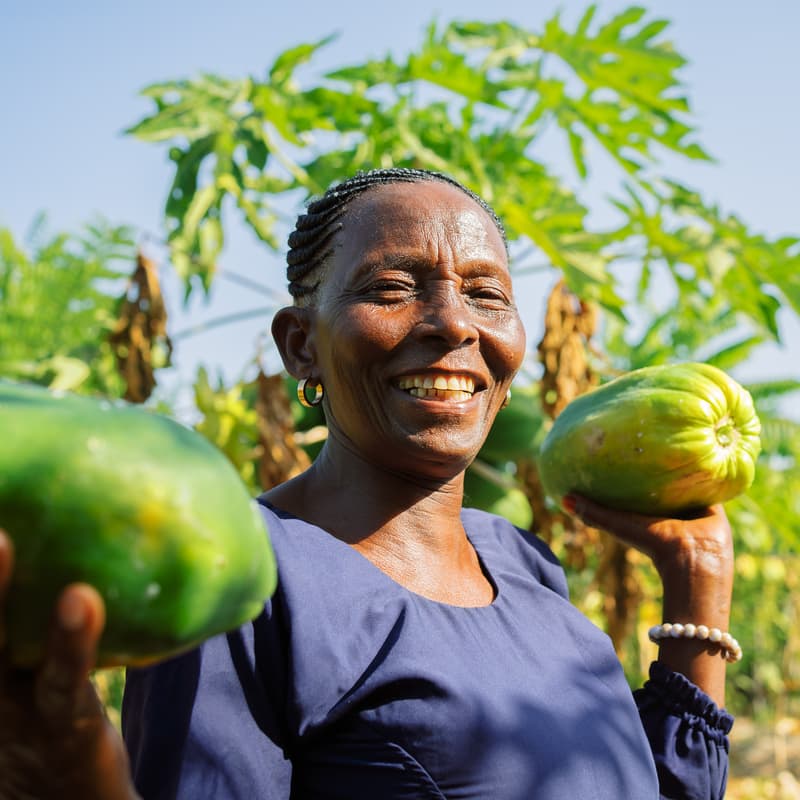 Cover Image for Financing Regenerative Agriculture: Innovations for Climate, Nature and Livelihoods
