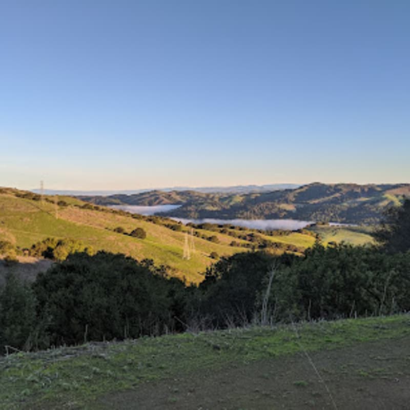 Cover Image for Bay Area Life Science Hikers- October Edition