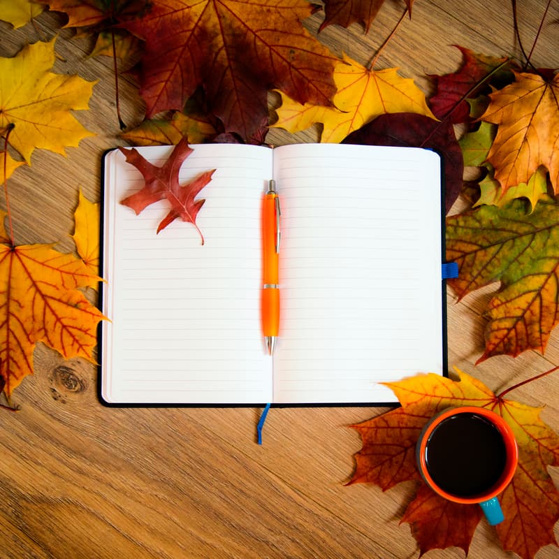 Cover Image for A Year of Intentions: Fall 2025