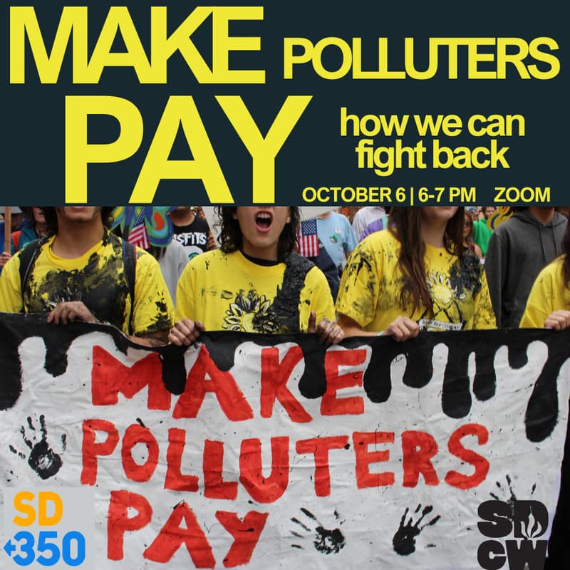 Cover Image for Make Polluters Pay: how can we fight back