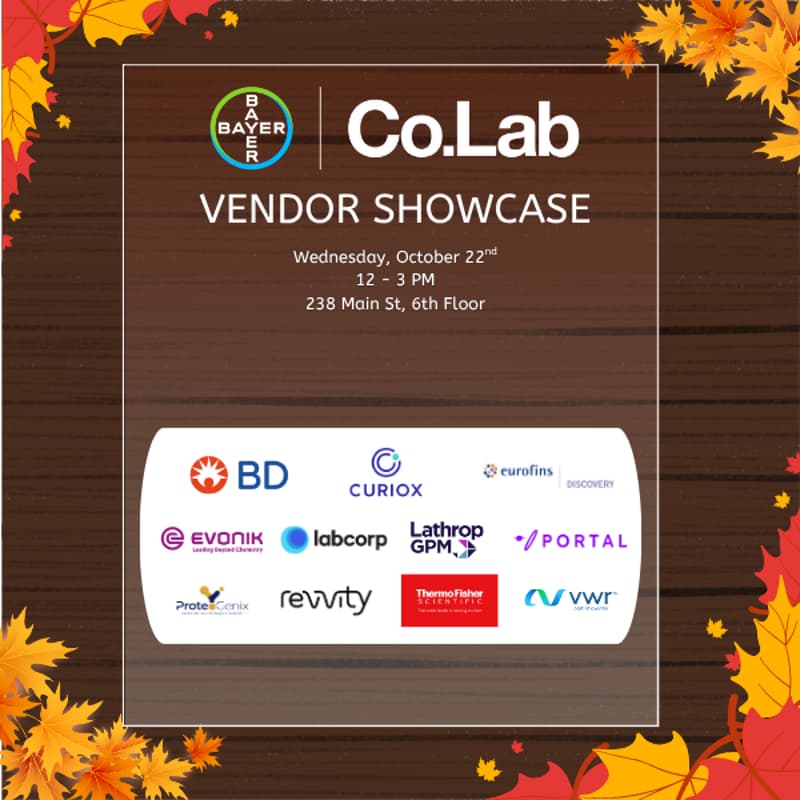 Cover Image for Bayer Co.Lab Vendor Showcase: Fall Edition