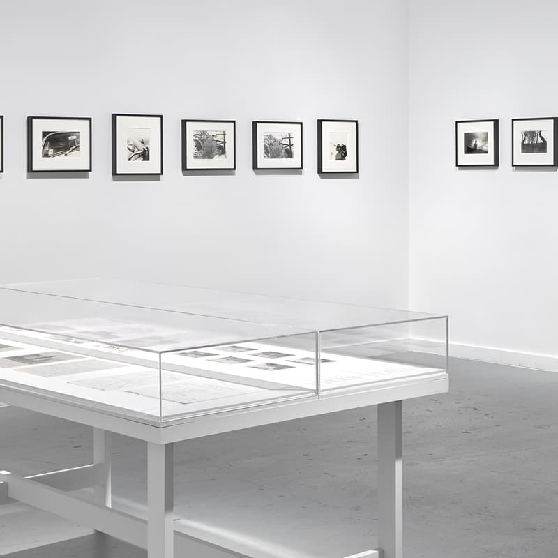 Cover Image for ISLAA Second Saturday Tours