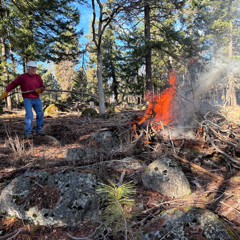 Cover Image for Pile Burning Workshop
