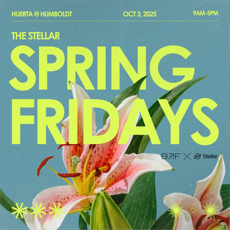 Cover Image for 🇦🇷 Stellar Spring Friday #7