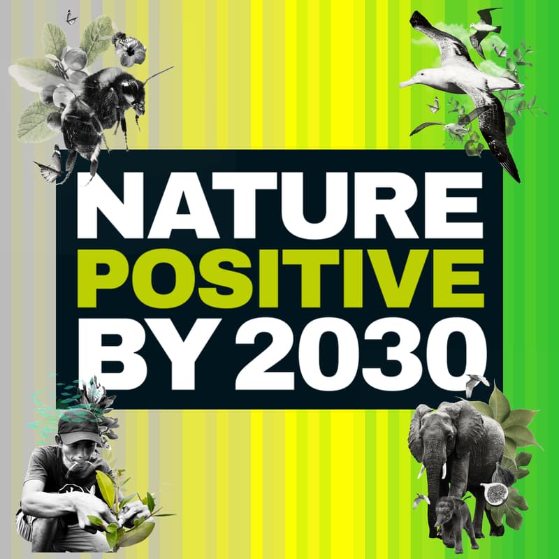 Cover Image for Nature Positive Lunch Reception