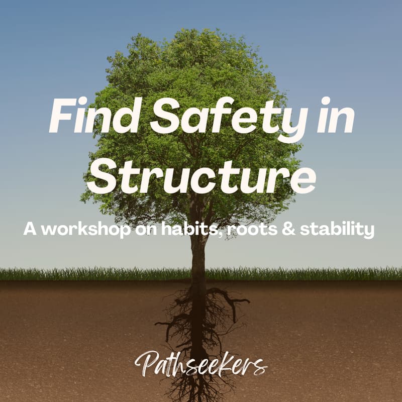 Cover Image for Find Safety in Structure
