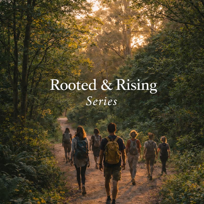 Cover Image for Rooted & Rising : A Women's Day Walk with Gaia - A Nature Walk, Somatic Reset & Drum Circle in Golden Gate Park