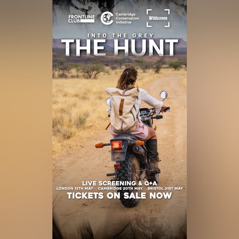 Cover Image for Film Screening - 'The Hunt: Into the Grey'