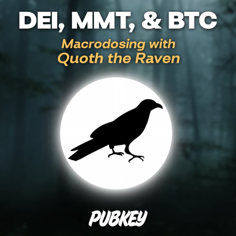 Cover Image for Macrodosing with Quoth The Raven