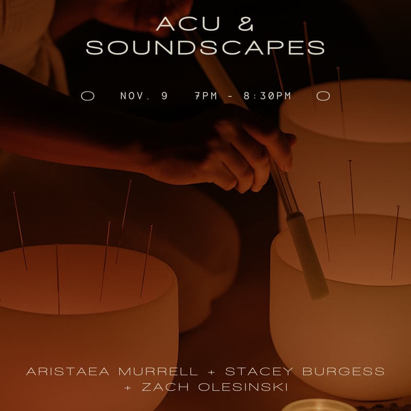 Cover Image for Acu + Soundscapes