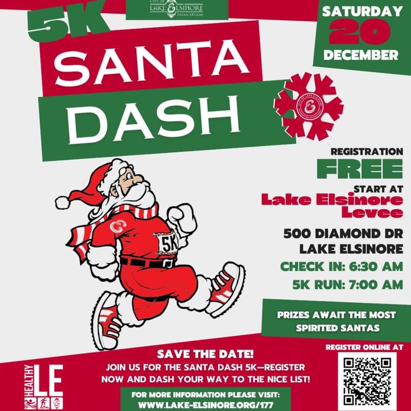 Cover Image for SANTA DASH