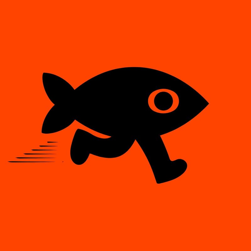 Cover Image for fish out of water - morning run #2