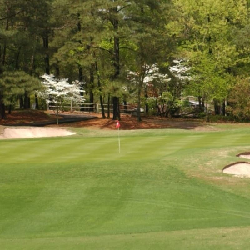 Cover Image for 2024 Season 🐶 Dogfight at Houndslake Country Club 