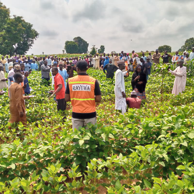 Cover Image for Redefining Agricultural Finance