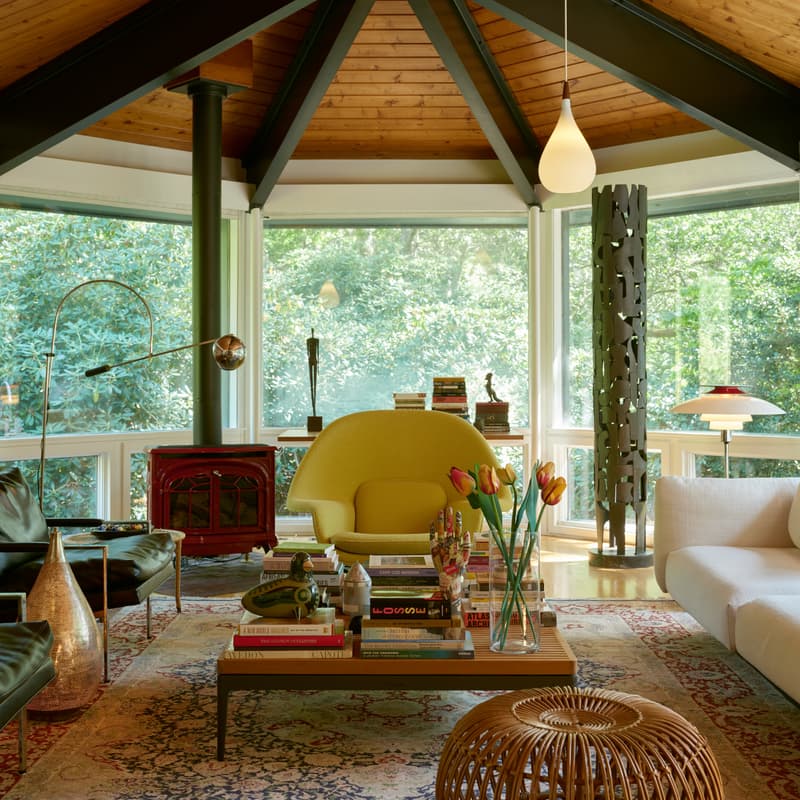 Cover Image for A Day at TreeHaus