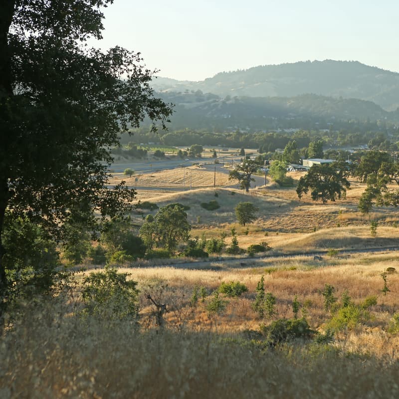 Cover Image for Esmeralda Project Open House #1