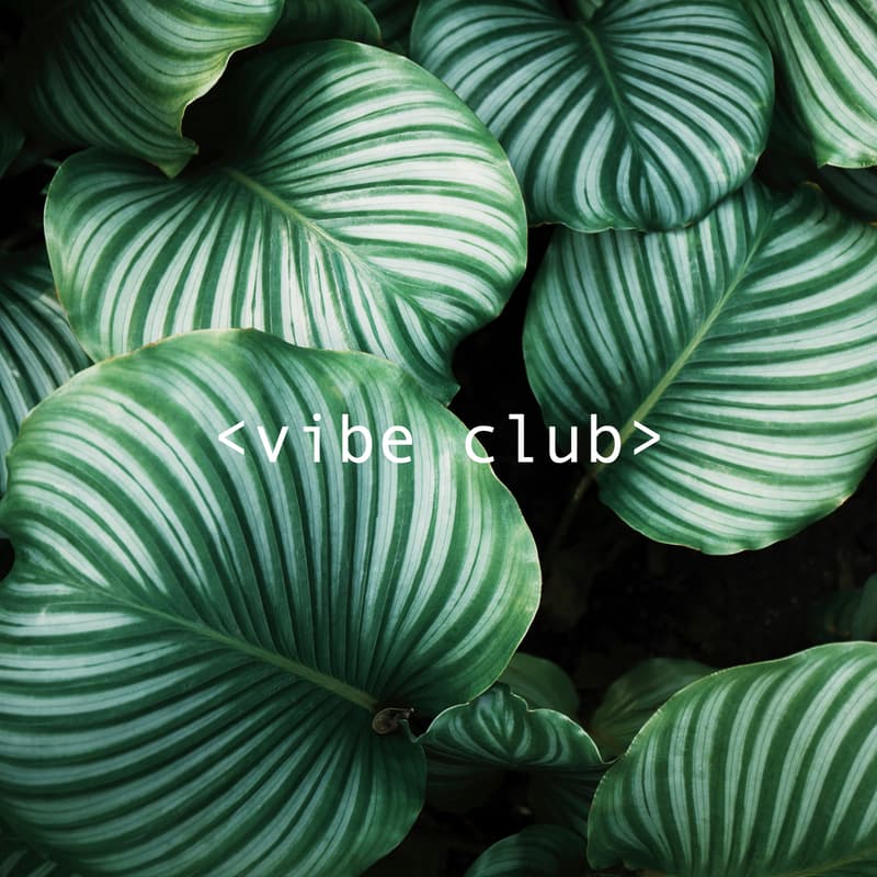 Cover Image for Vibe Club