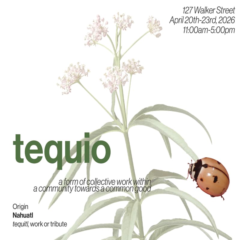Cover Image for Tequio Space at City in Resistance