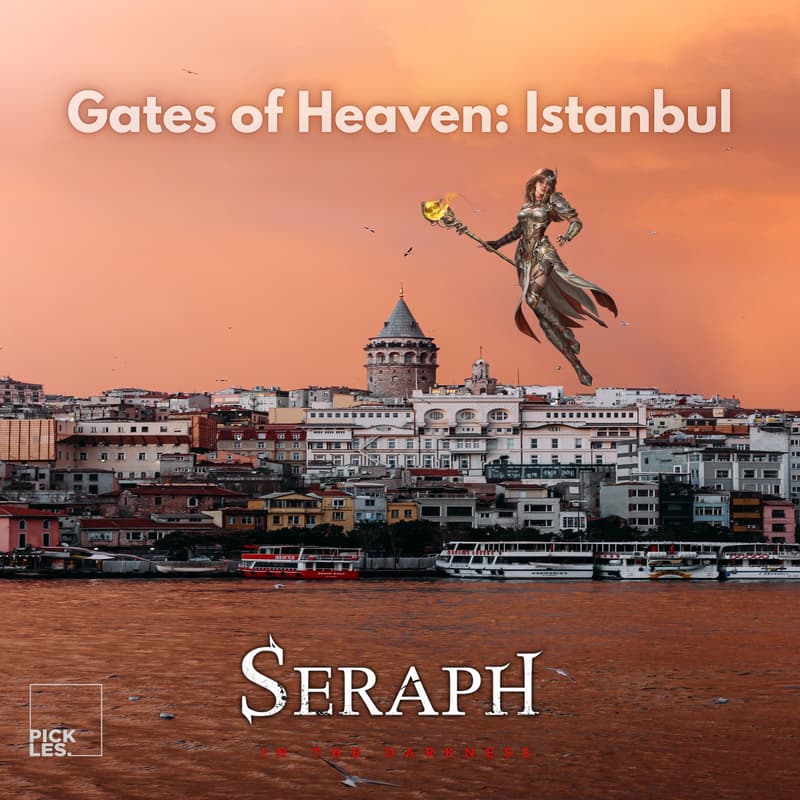 Cover Image for Gates of Heaven : Istanbul Seraph Party Night