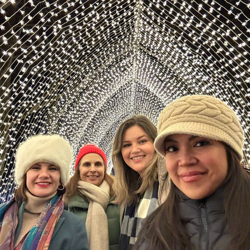 Cover Image for Holiday Lightscape + Lodge at the Brooklyn Botanical Garden