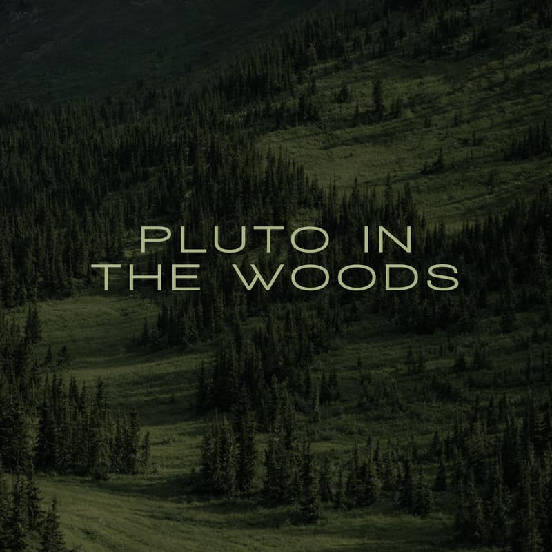 Cover Image for 🌲 Pluto x The Woods: The Art of Gathering 🌲
