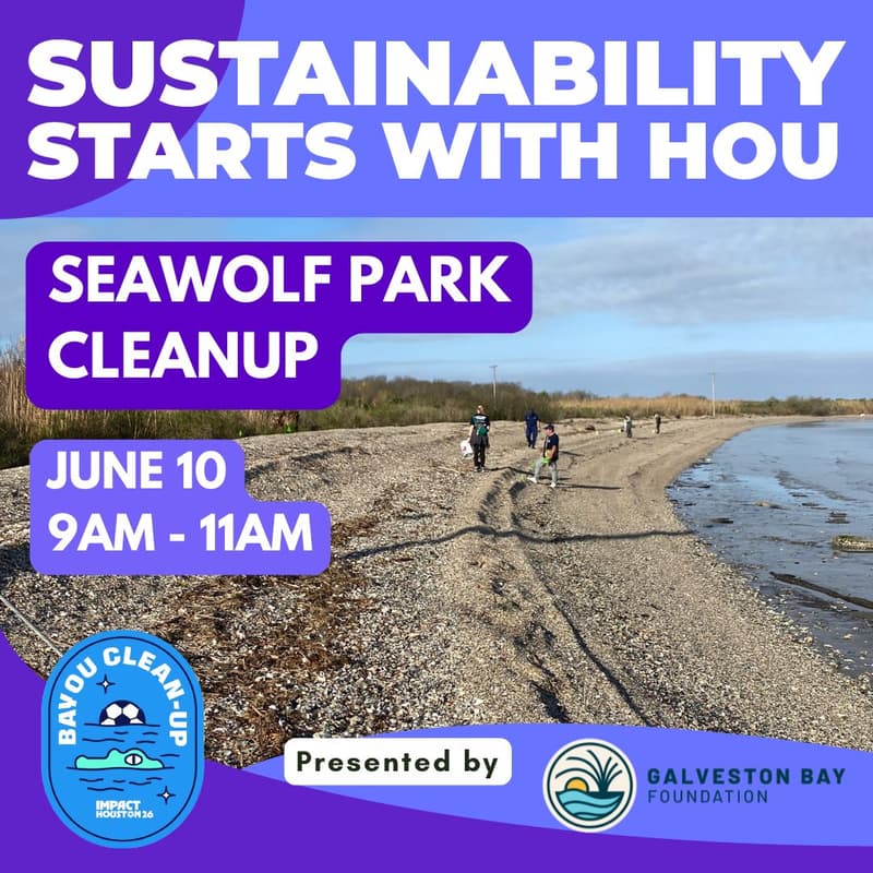 Cover Image for Galveston Bay Foundation Seawolf Park Cleanup