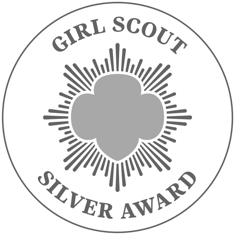 Cover Image for Silver Award Training
