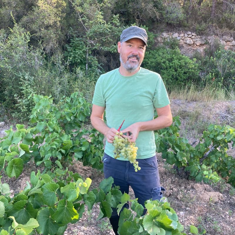 Cover Image for Meet the winemaker!
