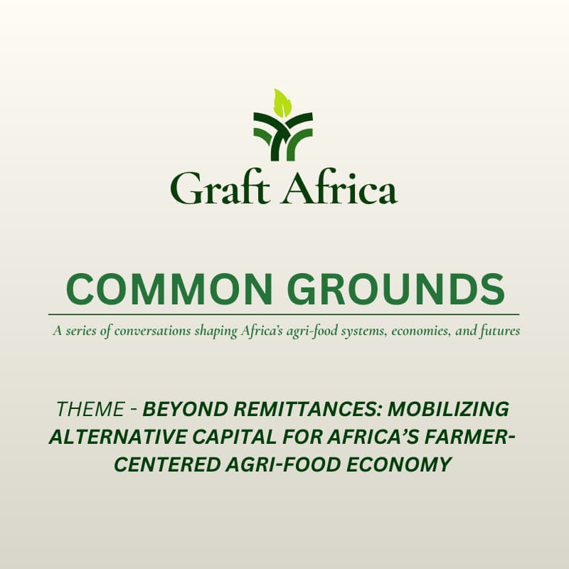 Cover Image for Beyond Remittances: Mobilizing Alternative Capital for Africa’s Farmer-Centered Agri-Food Economy