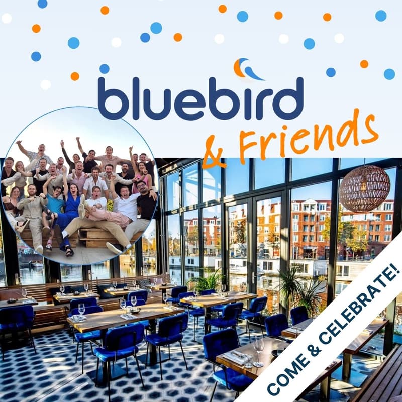 Cover Image for Bluebird & Friends