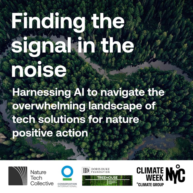 Cover Image for Finding the signal in the noise @Treehouse CWNYC 2025