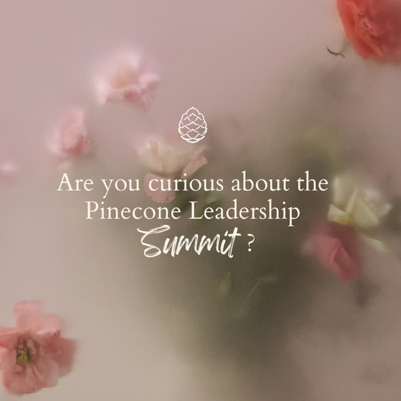 Cover Image for Q&A - Why Pinecone Leadership Summit?